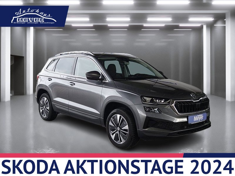 Skoda Jahreswagen Von Werksangehrigen