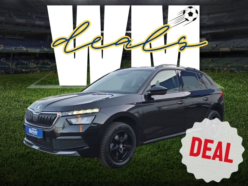 Skoda Kamiq Gebrauchtwagen Kaufen